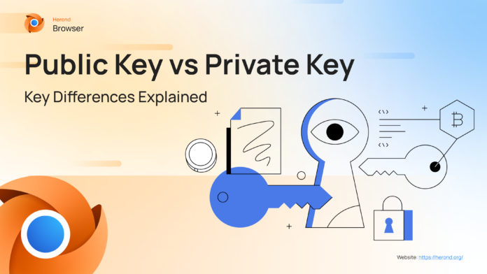 Public Key vs Private Key- Key Differences Explained