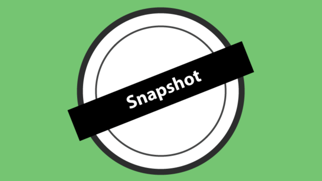 What are Snapshots?
