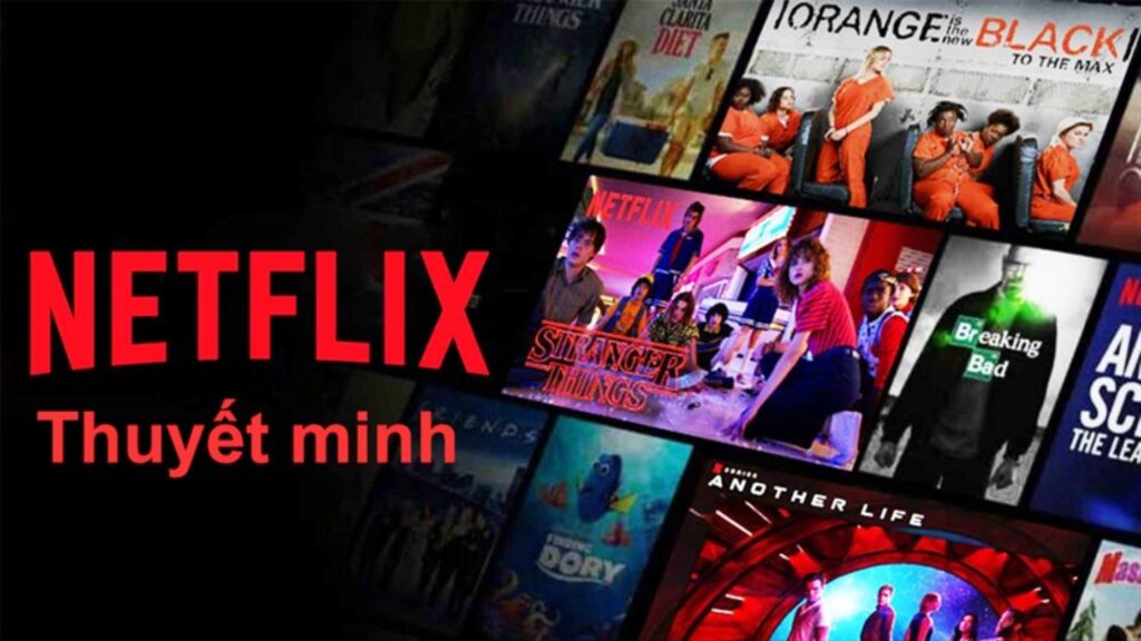 Xem phim thuyết minh bằng dịch vụ trả phí Netflix