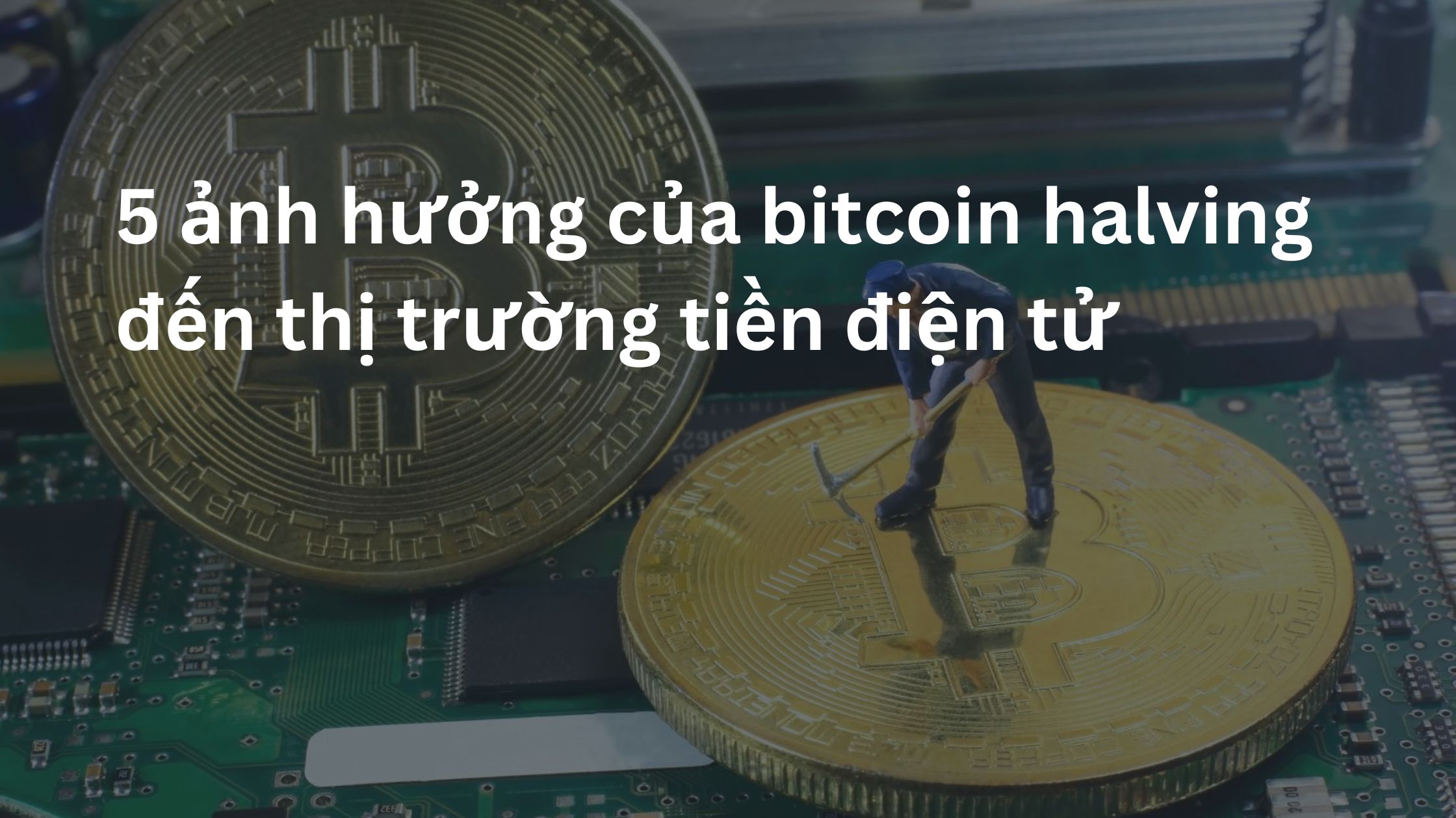 5 ảnh hưởng của bitcoin halving là gì? 