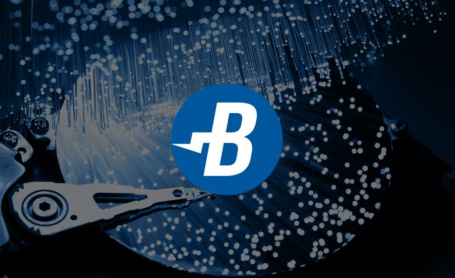 Hard Disks Mining Coins: Burstcoin (BURST)