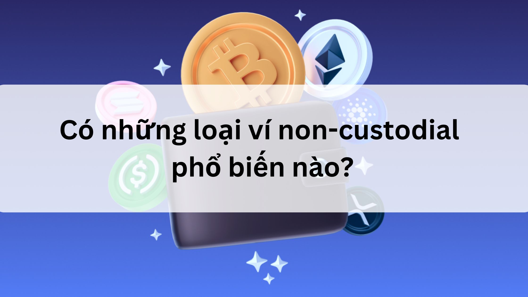 Có những loại ví non-custodial phổ biến nào? 