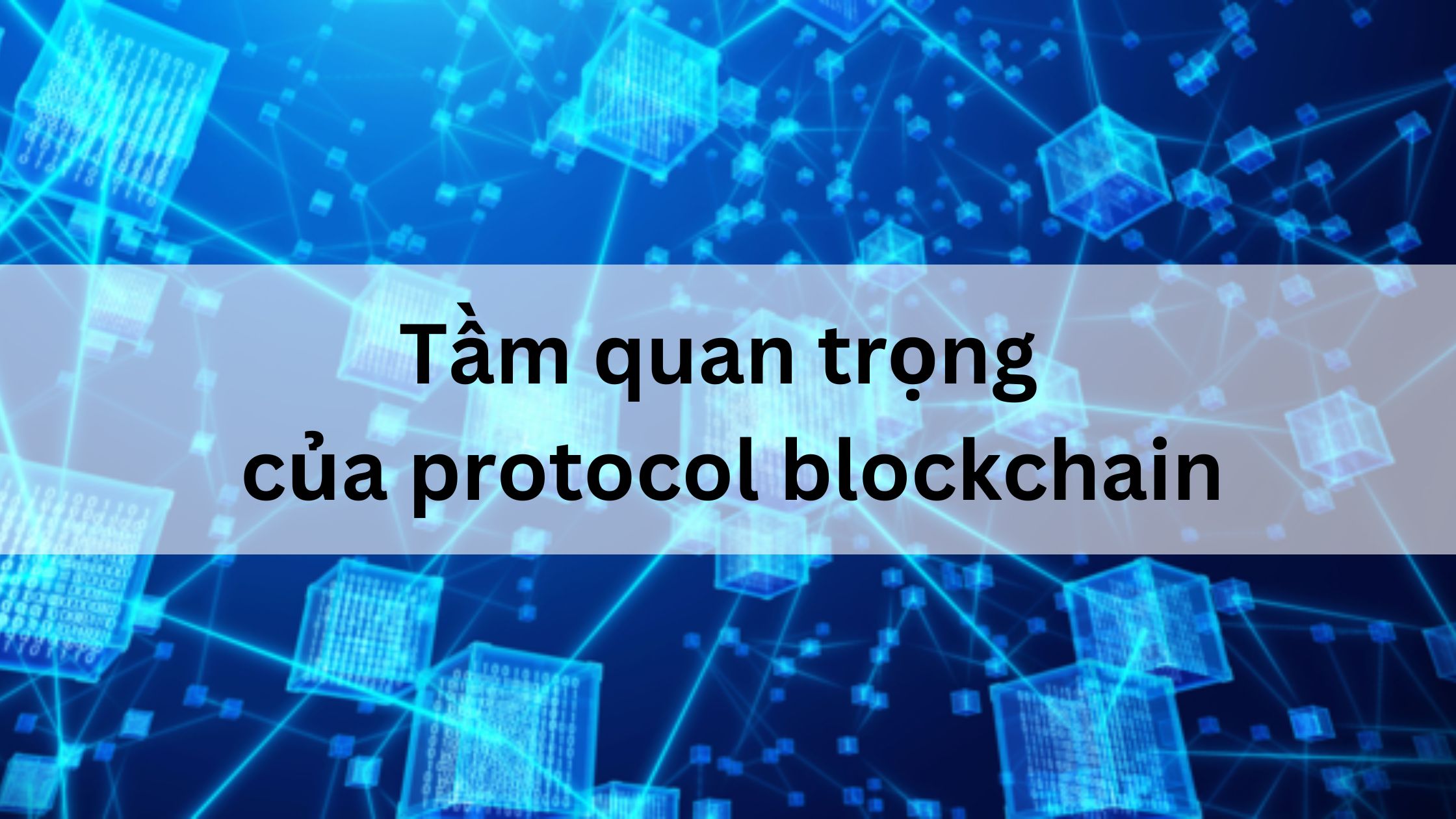 Tầm quan trọng của protocol blockchain là gì 