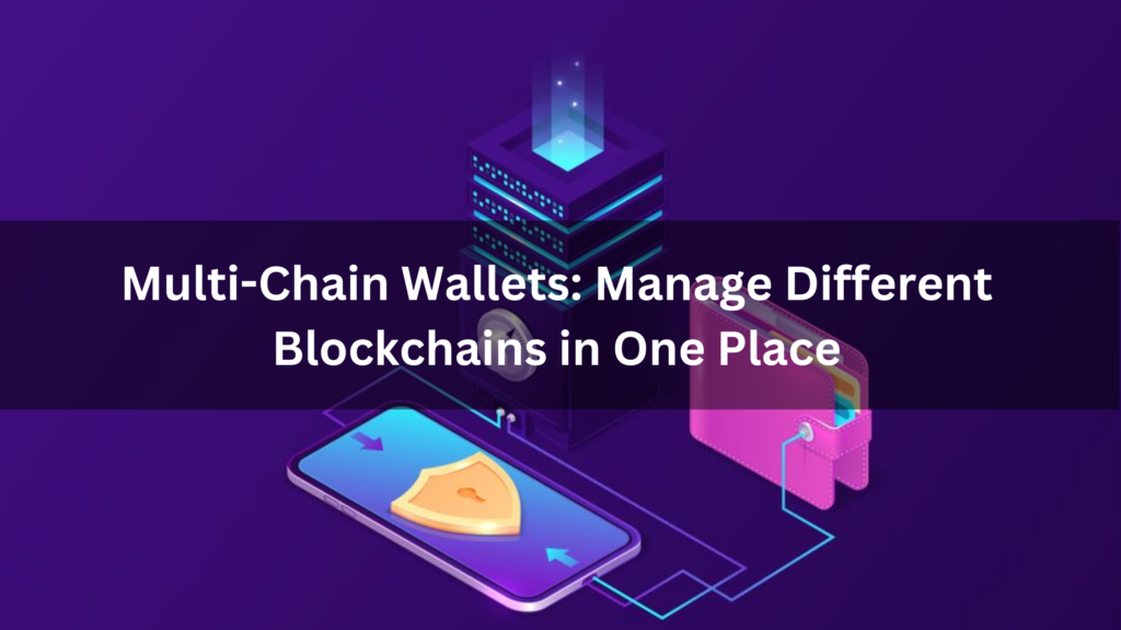 Multi Chain Wallets Manage Different Blockchains In One Place