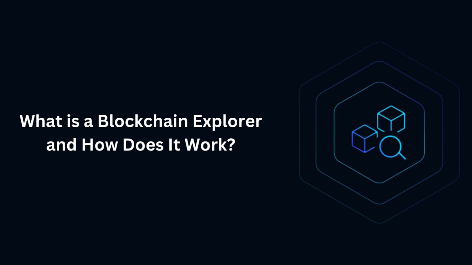 What is a Blockchain Explorer and How Does It Work?