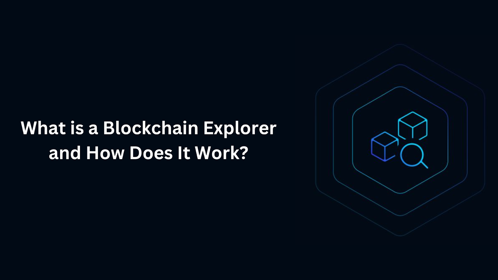 What is a Blockchain Explorer and How Does It Work?