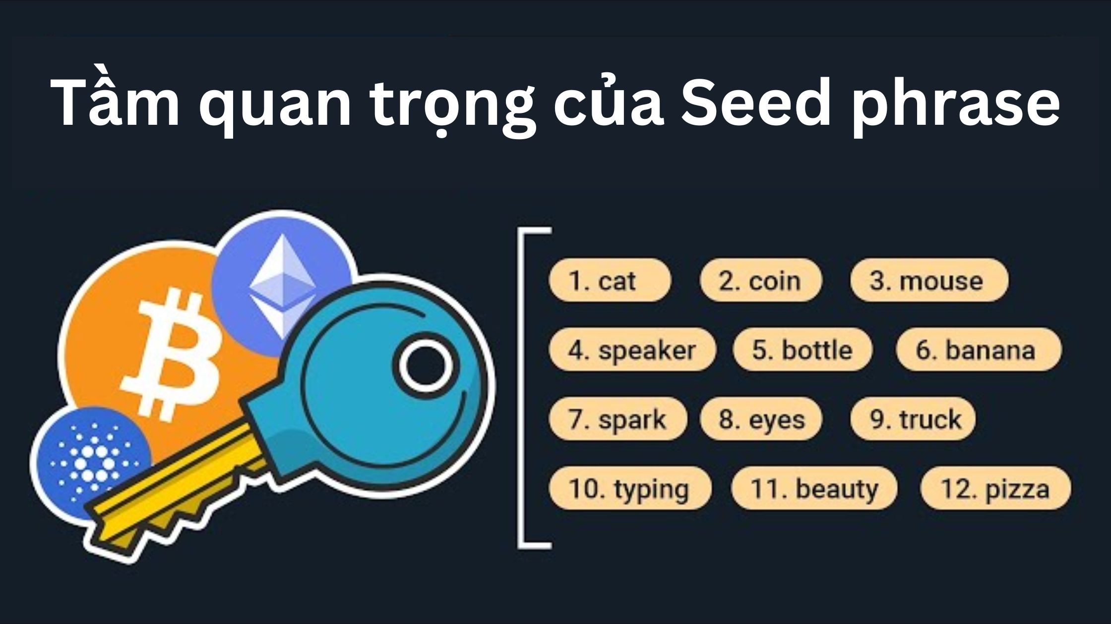 Tầm quan trọng của Seed phrase là gì? 