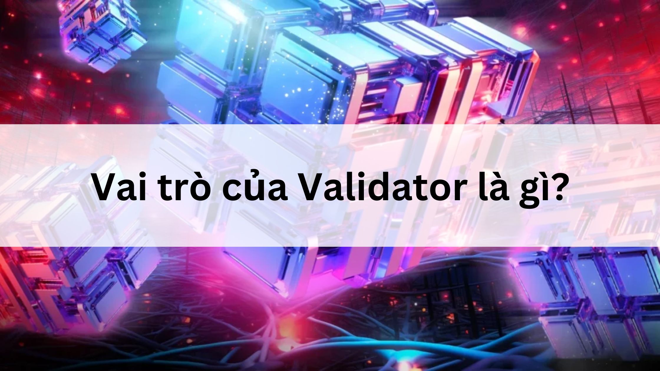 Vai trò của Validator là gì? 