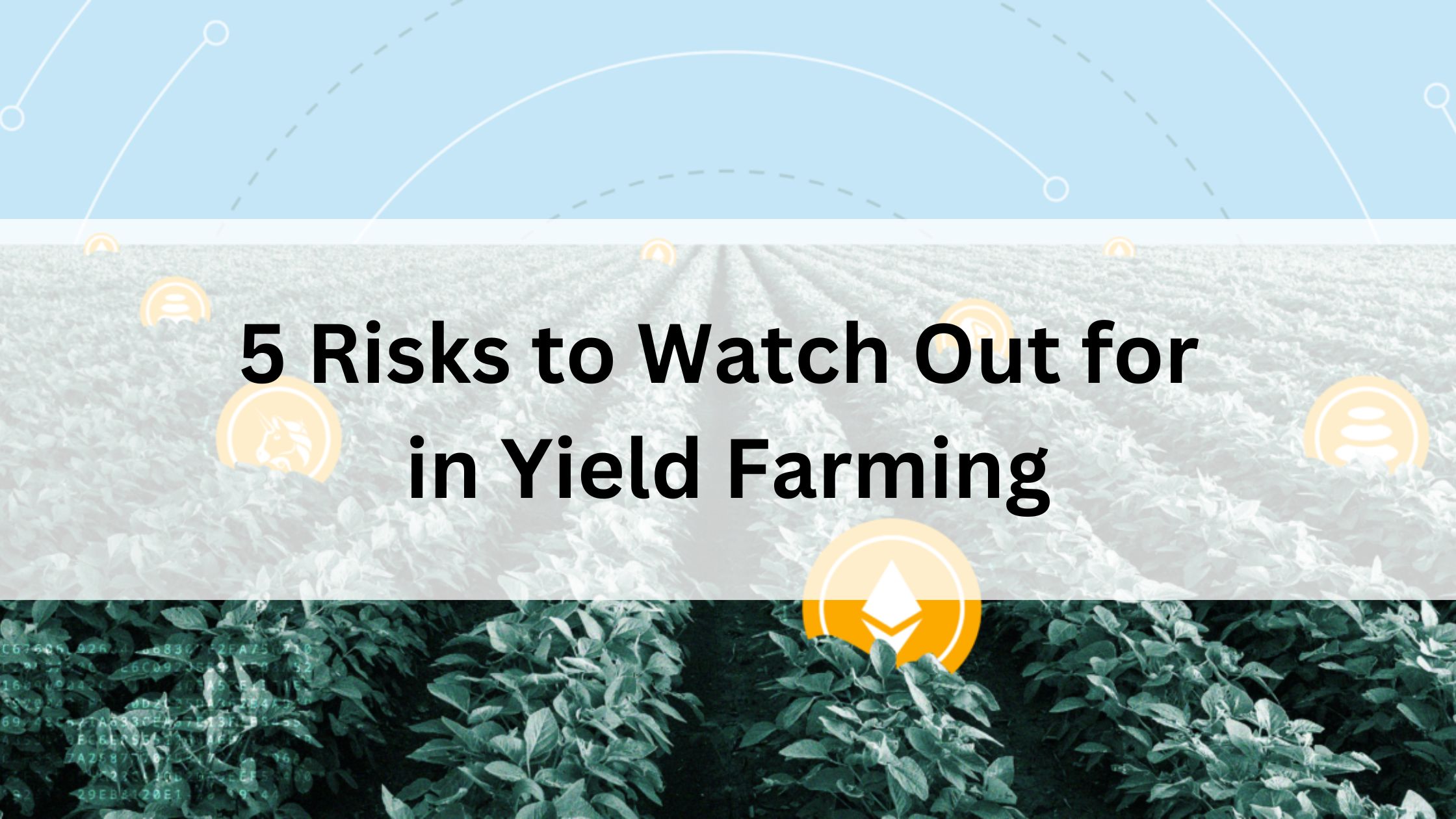 5 Risks to Watch Out for in Yield Farming 