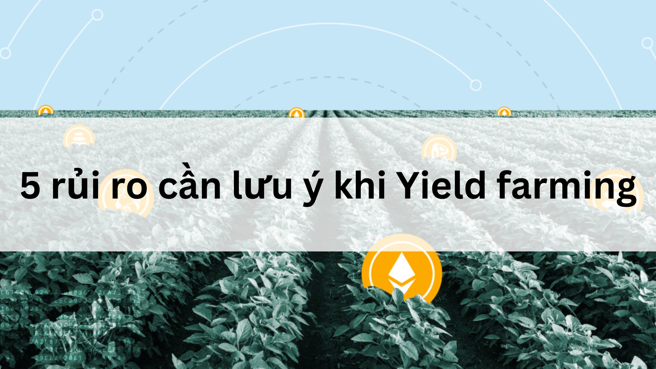 5 rủi ro cần lưu ý khi Yield farming