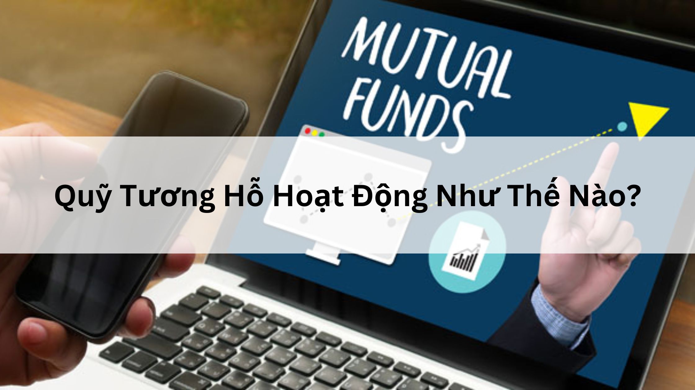 Quỹ Tương Hỗ Hoạt Động Như Thế Nào?