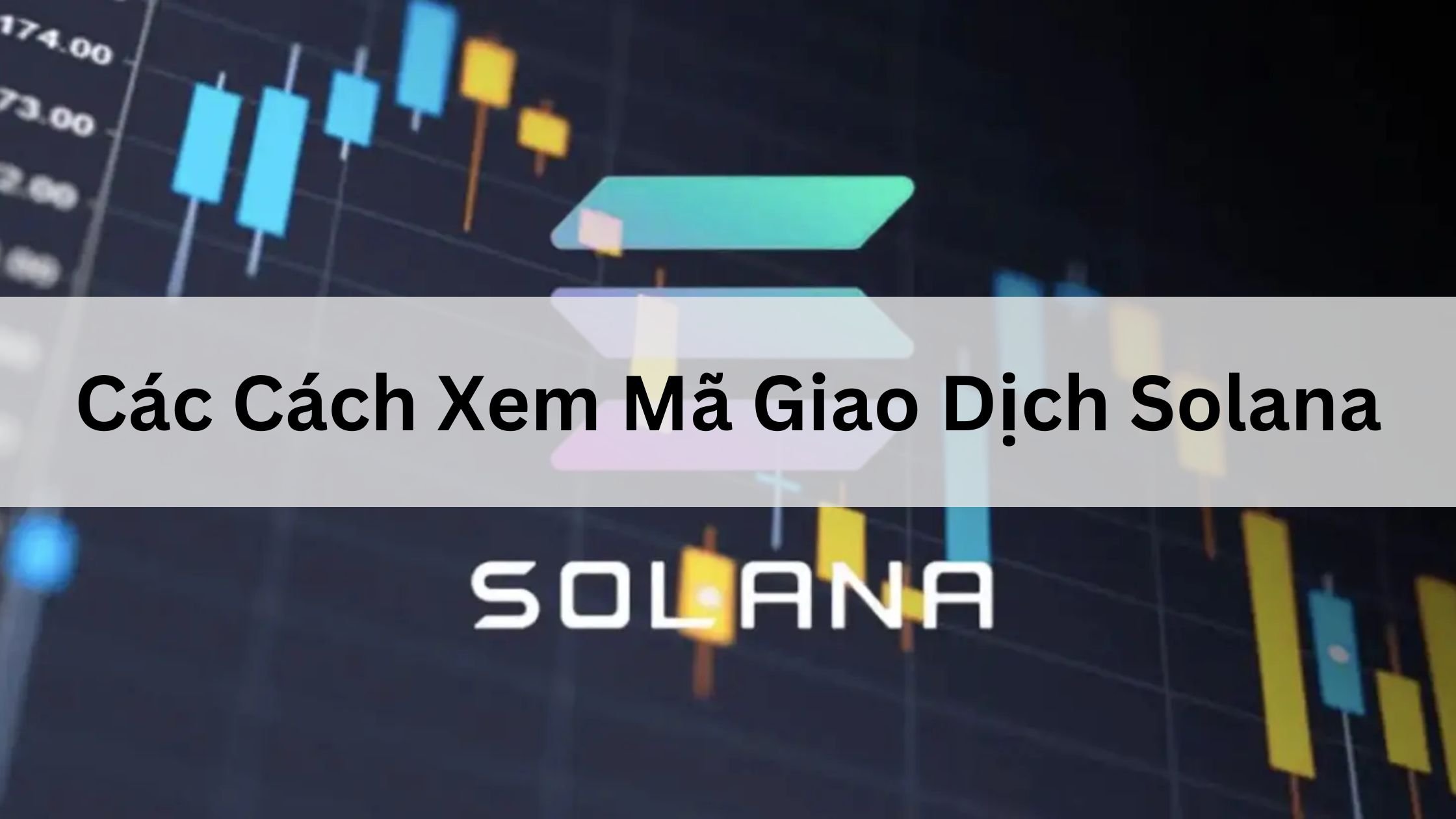 Các Cách Xem Mã Giao Dịch Solana