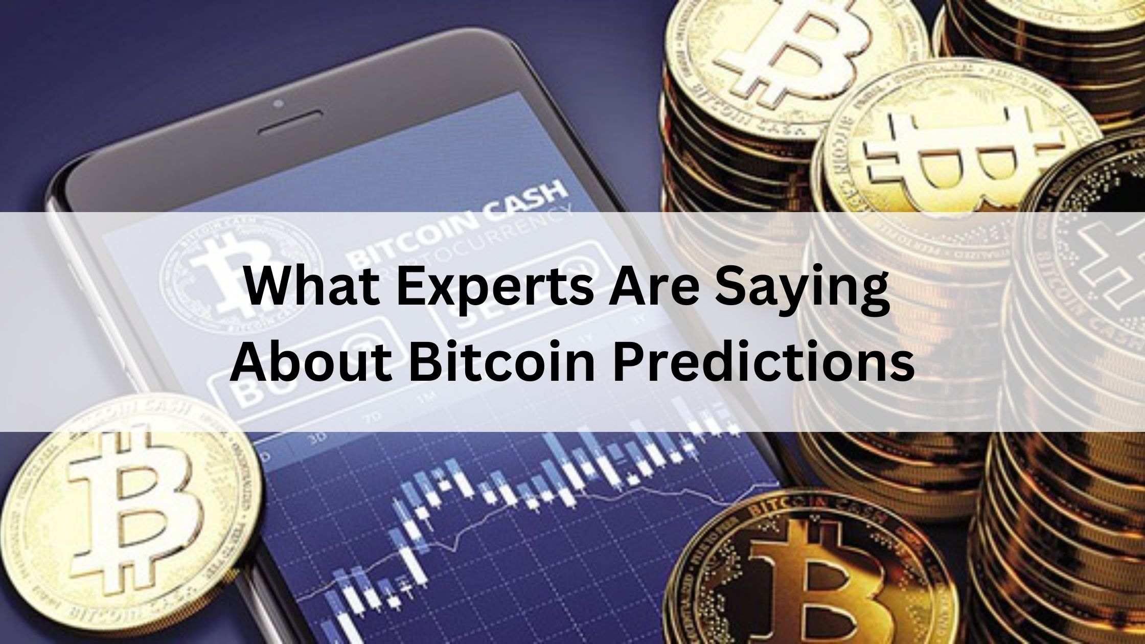 What Experts Are Saying About Bitcoin Predictions