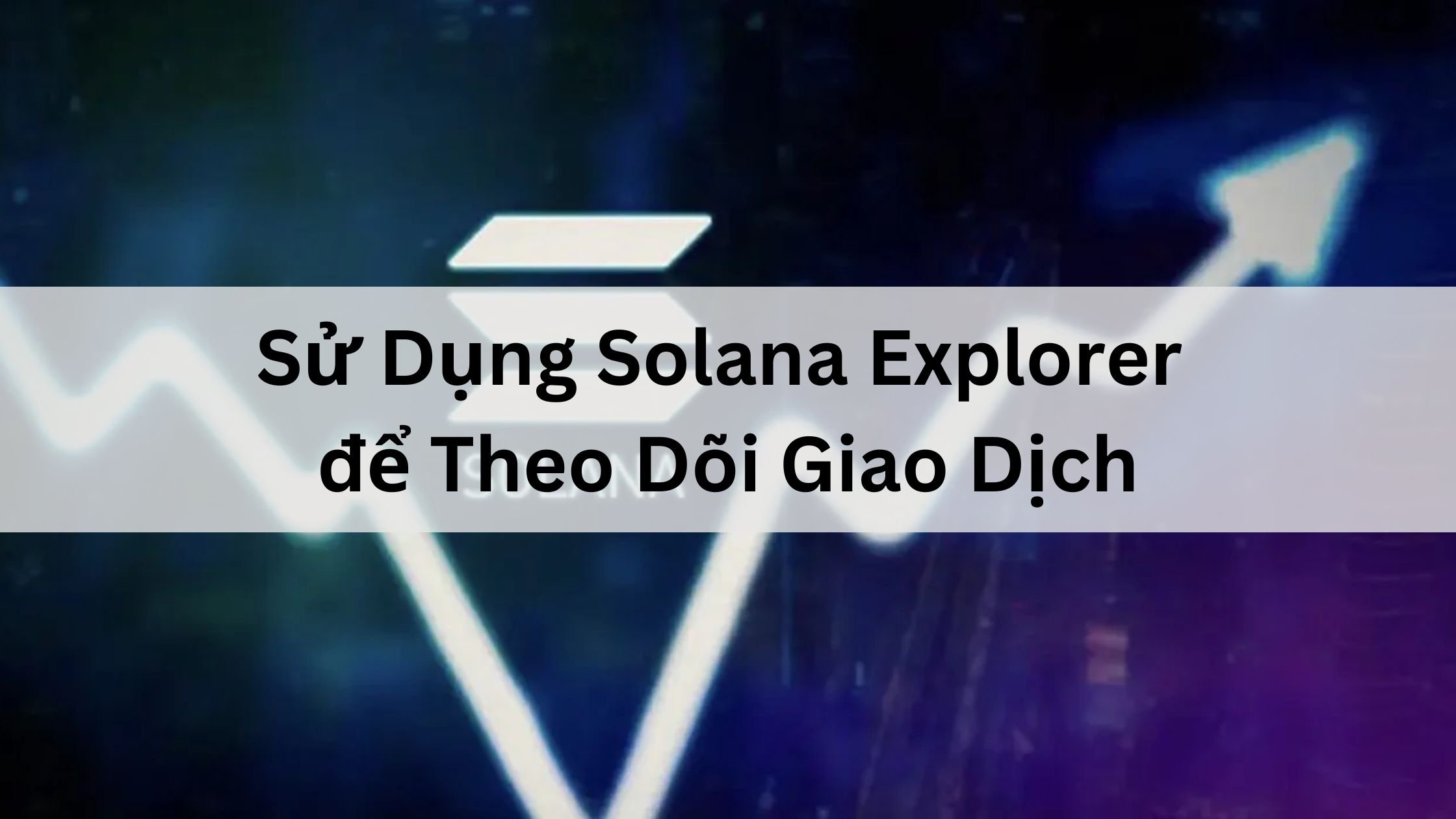 Sử Dụng Solana Explorer để Theo Dõi Giao Dịch