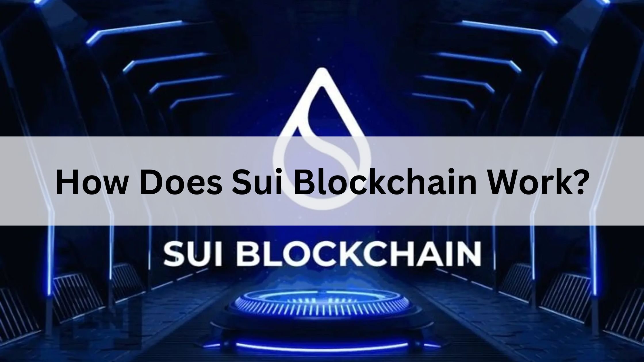 How Does Sui Blockchain Work?