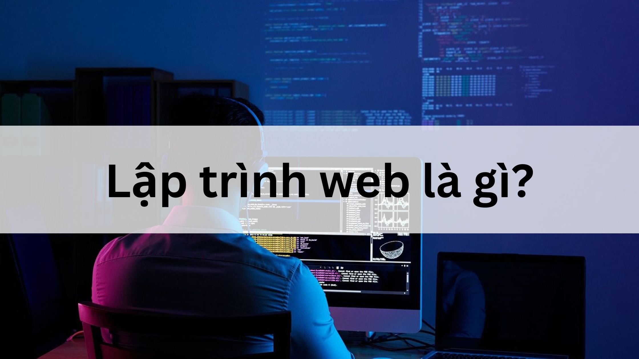 Lập trình web là gì?