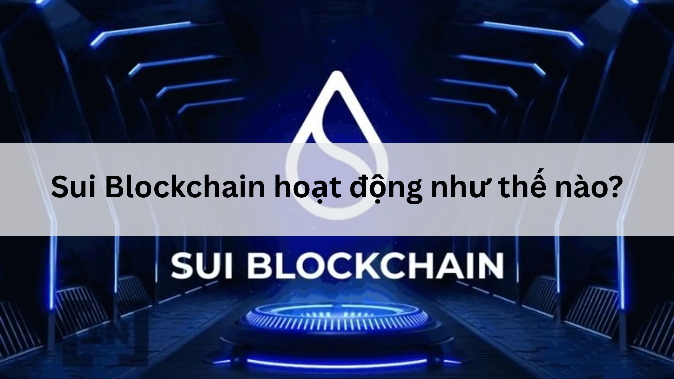 Sui Blockchain hoạt động như thế nào?
