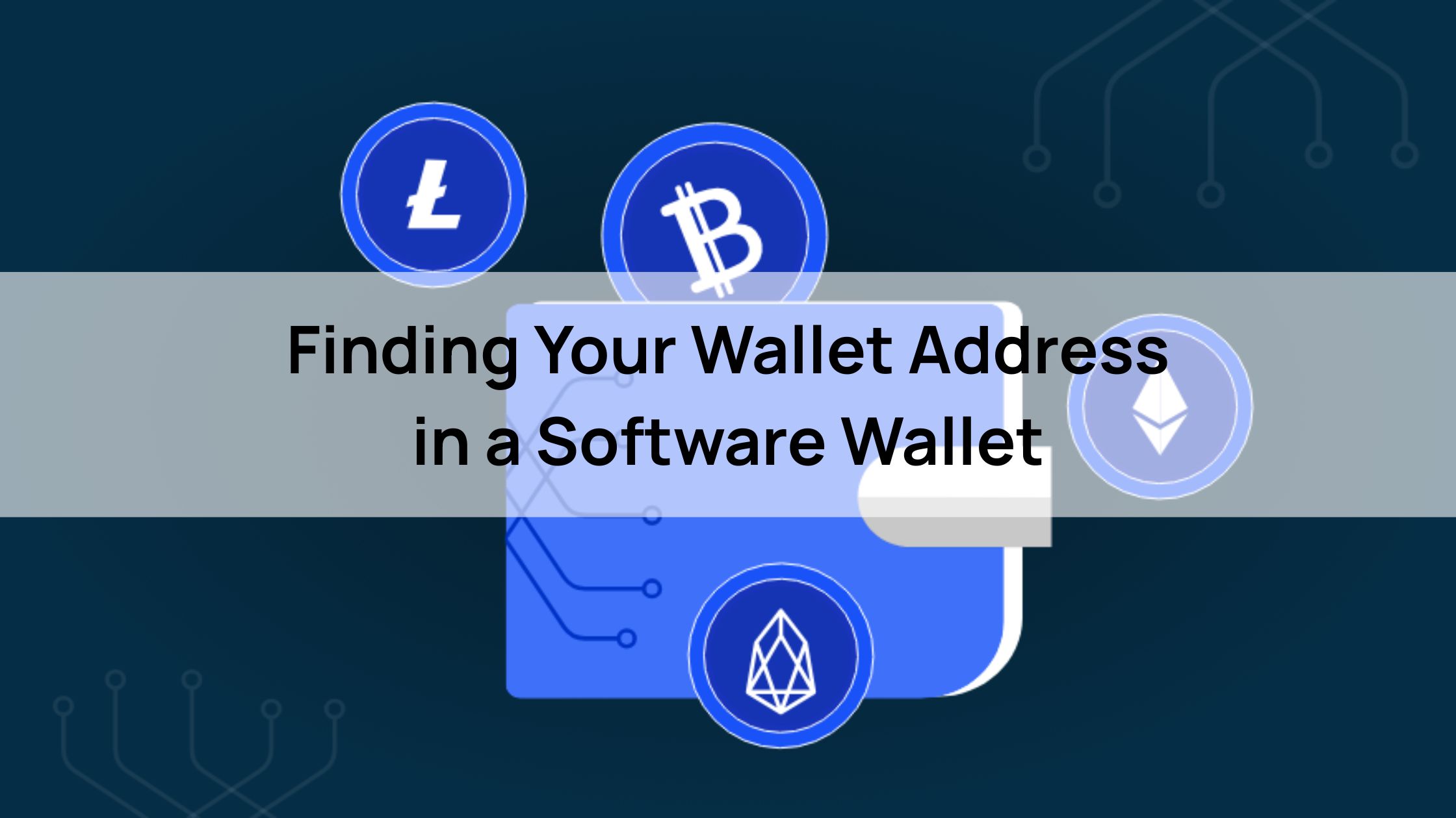 Finding Your Wallet Address in a Software Wallet