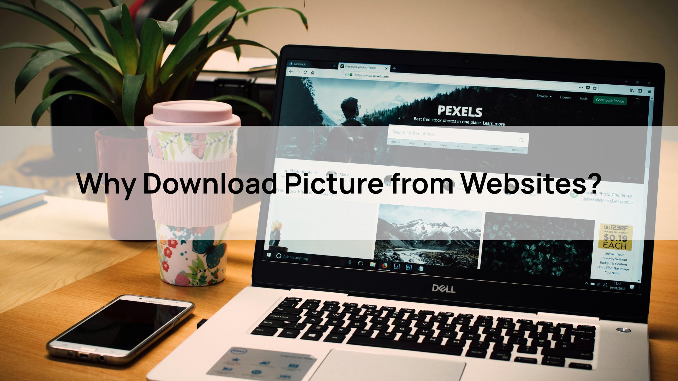 Why Download Picture from Website?