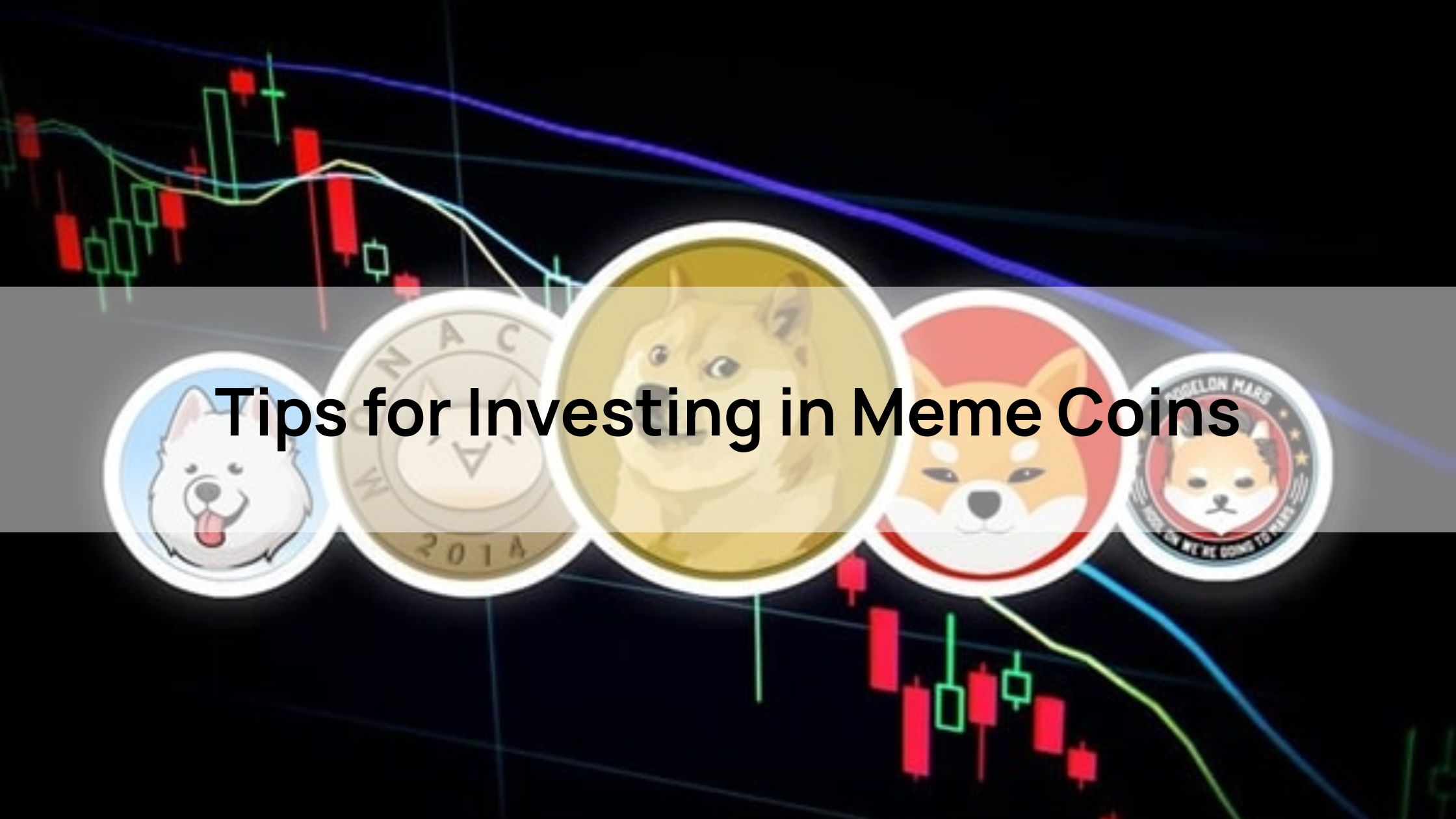 Tips for Investing in Meme Coin