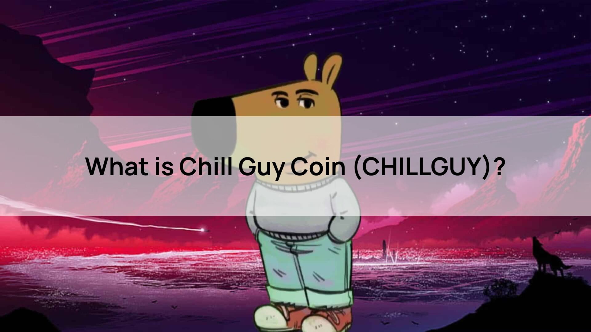 How to Buy Chill Guy Coin: A Simple Guide for New Crypto Enthusiasts ...