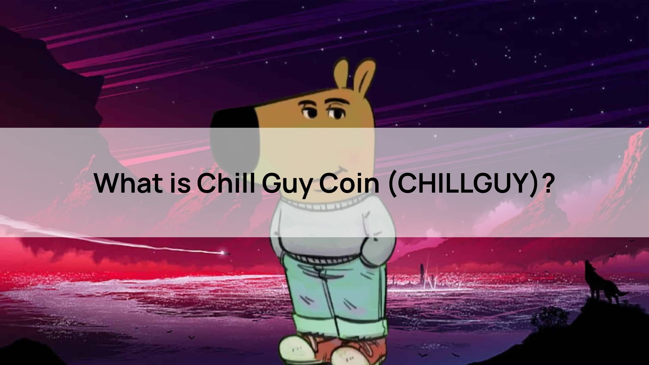 What is Chill Guy Coin (CHILLGUY)?