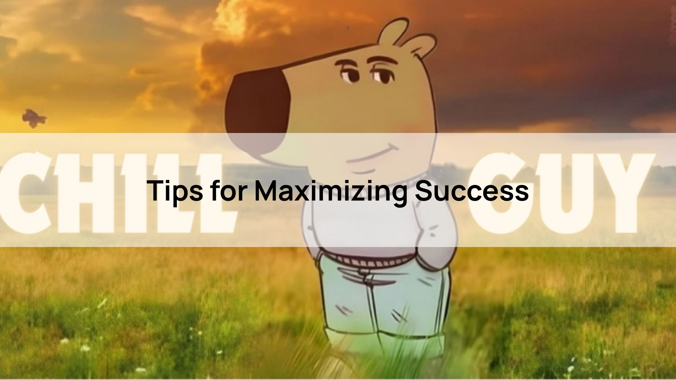 Tips for Maximizing Success