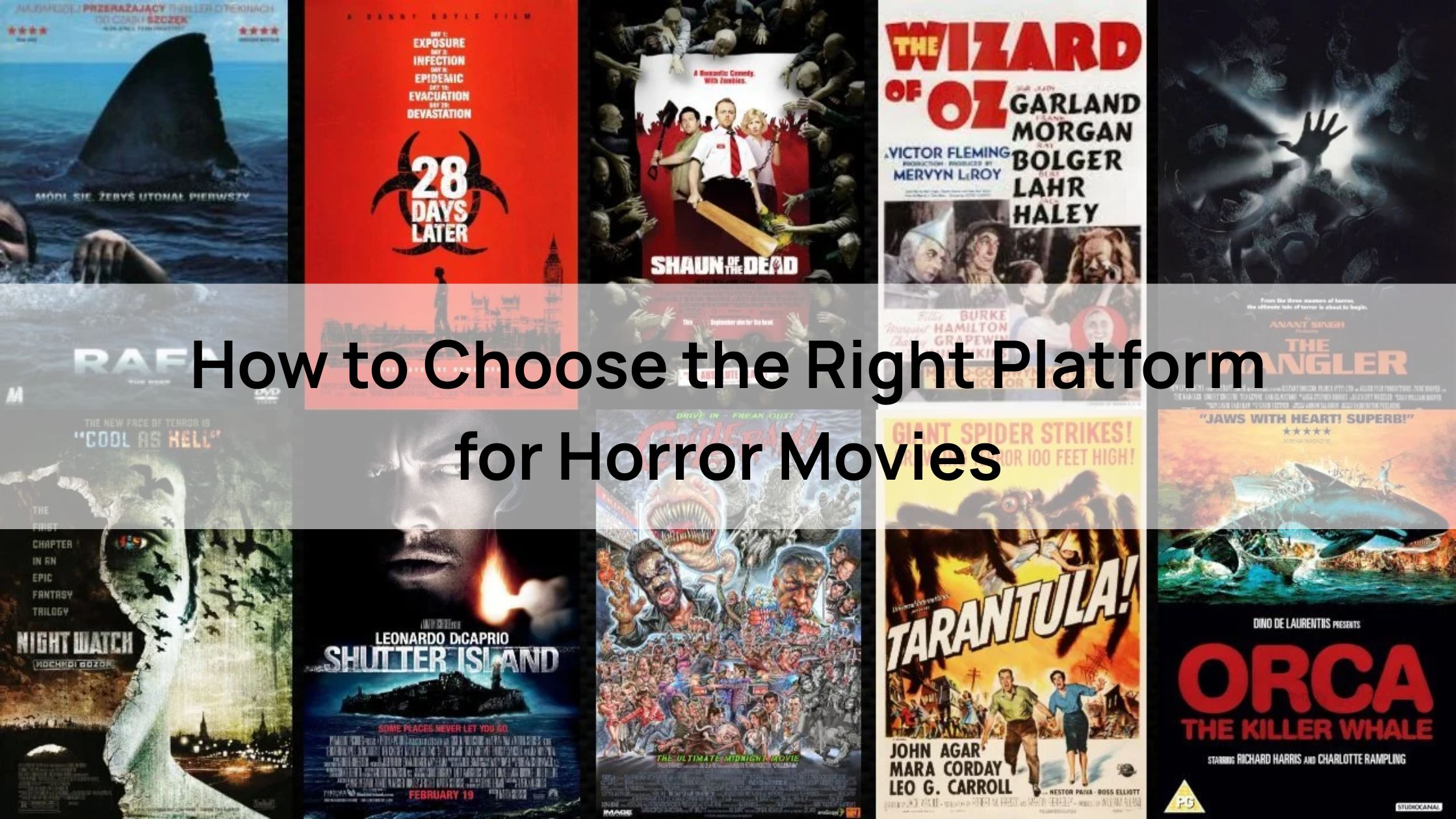 How to Choose the Right Platform for Top Scariest Movies of All Time