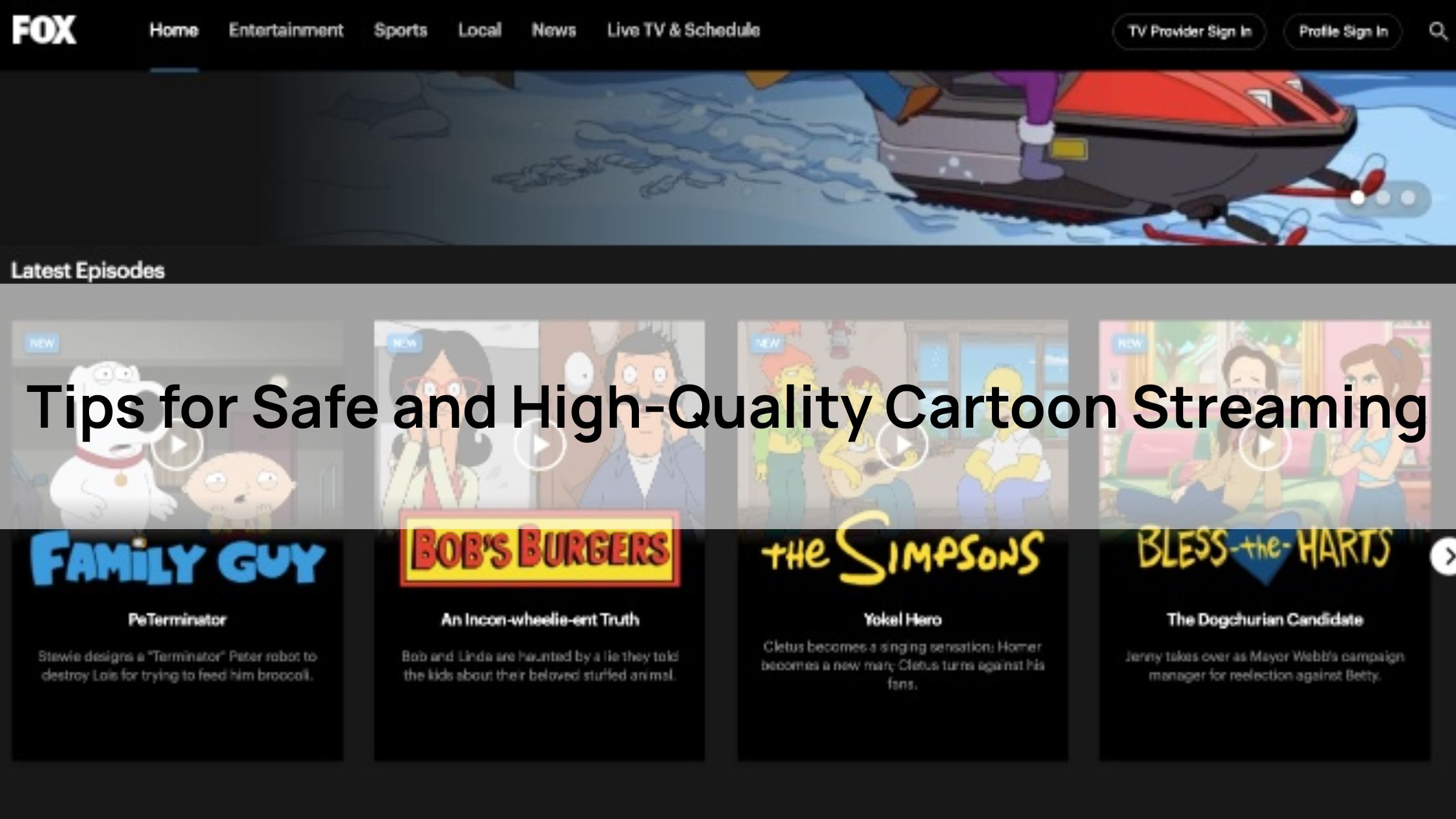 Tips for Safe and High-Quality Cartoon Streaming
