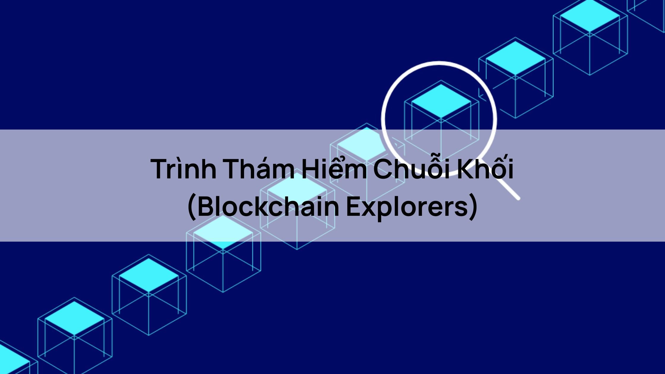 Trình Thám Hiểm Chuỗi Khối (Blockchain Explorers)
