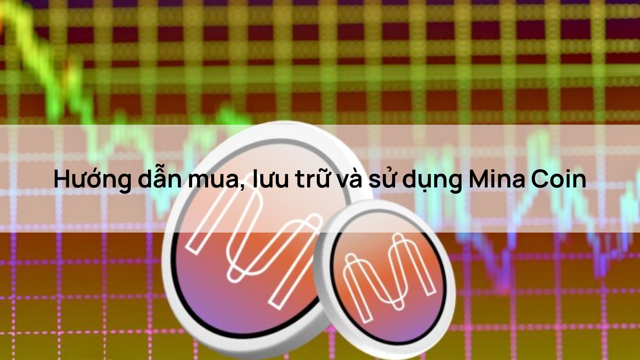 Hướng dẫn mua, lưu trữ và sử dụng Mina Coin