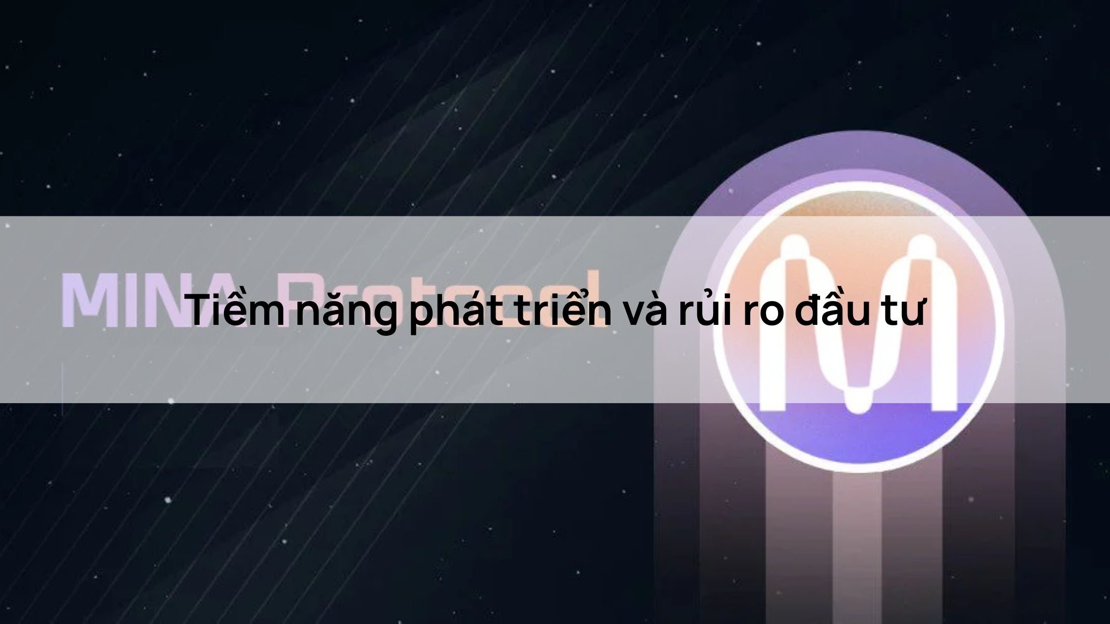 Tiềm năng phát triển và rủi ro đầu tư