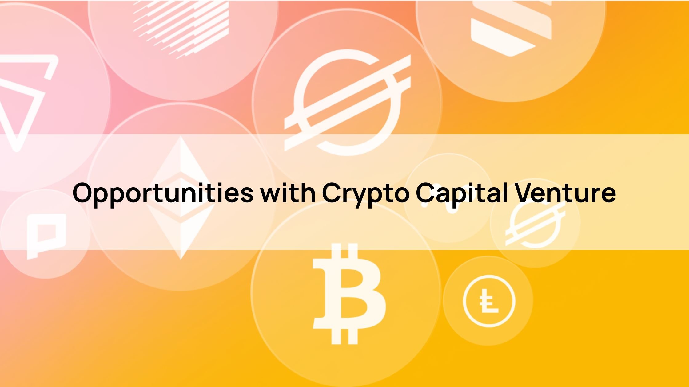 Opportunities with Crypto Capital Venture
