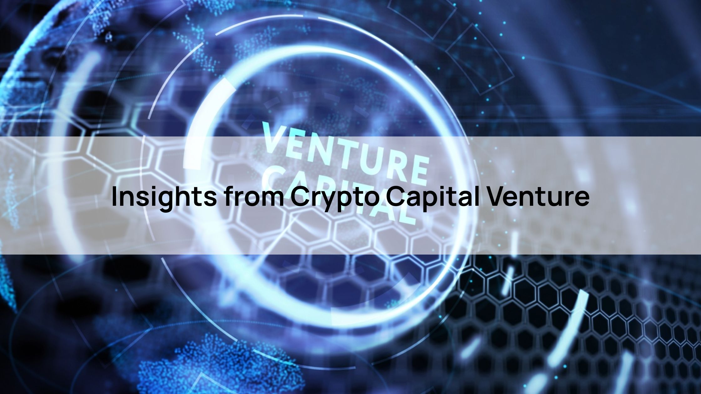 Insights from Crypto Capital Venture