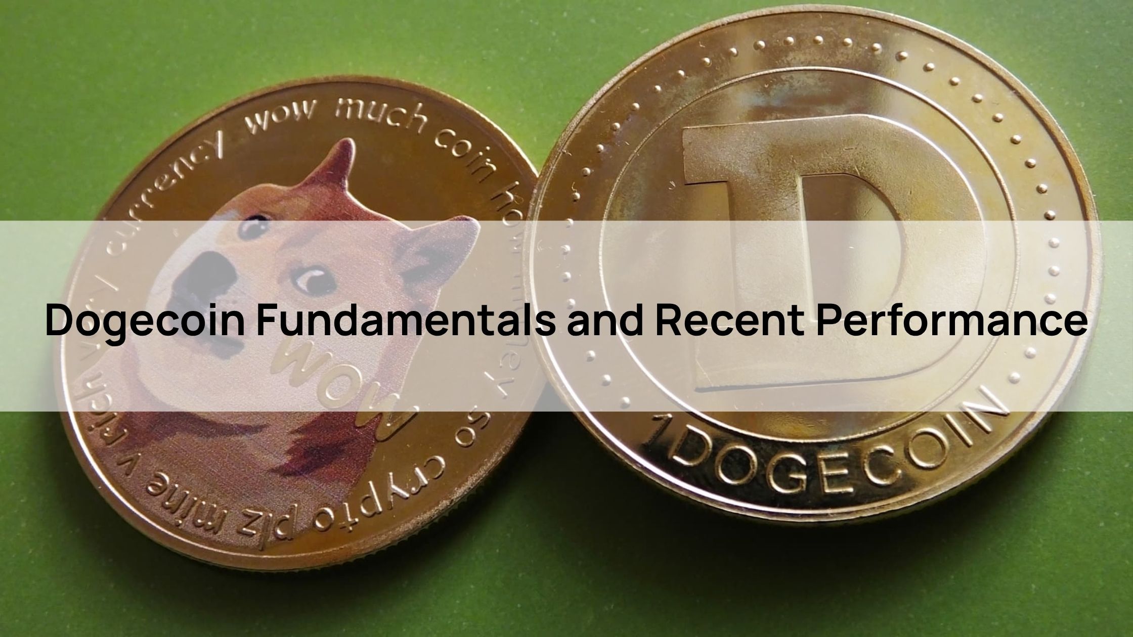 Dogecoin Fundamentals and Recent Performance