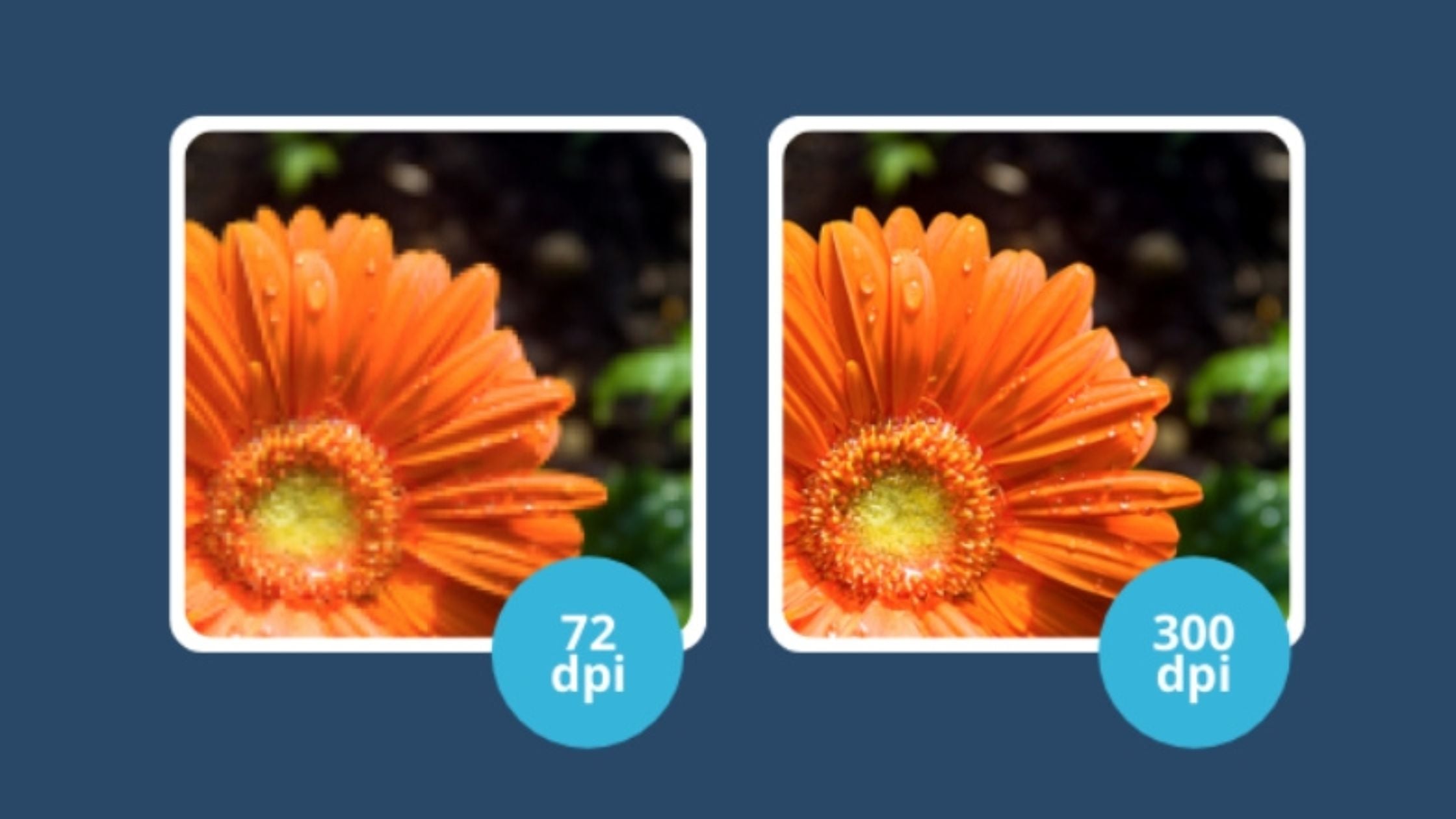 Quy tắc 8: Chất Lượng Ảnh/Video Độ Phân Giải Cao