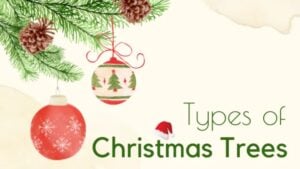 Real vs. Artificial: Comparing the Best Types of Christmas Trees for Your Home