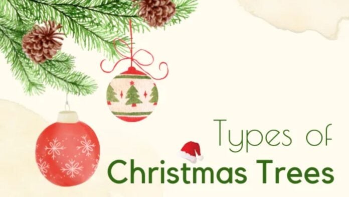 Real vs. Artificial: Comparing the Best Types of Christmas Trees for Your Home